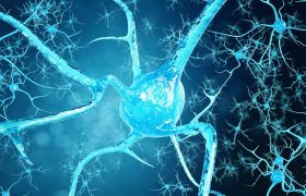 ¿Cuál es la causa de la esclerosis múltiple? | Grupo Gamma