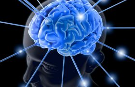 Neurociencias, una mirada integral al individuo | Grupo Gamma