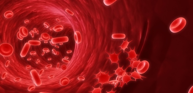 Hematología