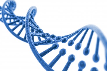 Estudios de ADN: Diferencias entre un estudio anónimo y uno con validez legal.