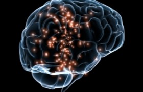 Neurociencia, Neurotecnología y adicciones: un simposio que mira hacia el futuro