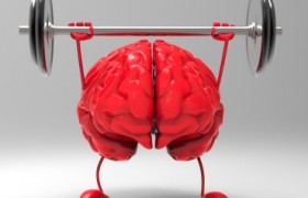 Desafío Cognitivo: Ejercicios para el cerebro