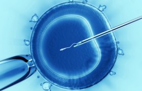 Medicina Reproductiva: el Rol de la Genética