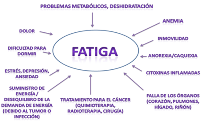 Fatiga y cáncer
