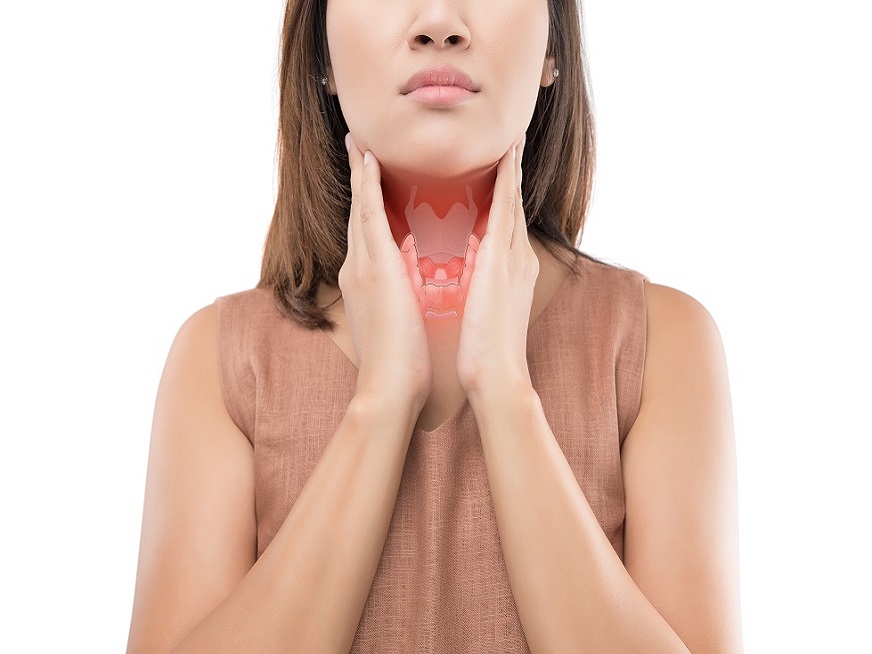 desinfectar Pompeya Arábica Glándula Tiroides: ¿Qué es?- La enfermedad de tiroides -Grupo Gamma
