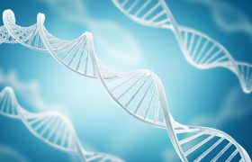 Análisis Comparativo de ADN | Grupo Gamma
