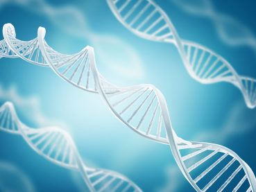 Análisis Comparativo de ADN | Grupo Gamma