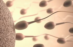Espermograma: La automatización en la andrología clínica | Grupo Gamma