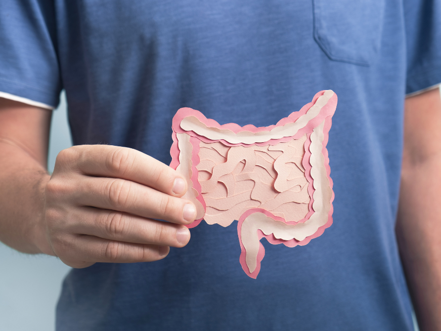 Microbiota intestinal: Qué es y cómo hay que cuidarla.